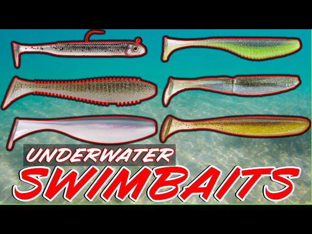 Underwater Swimbait Footage! Best Swimbaits And Paddletails Compared!