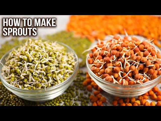 How To Make Sprouts | 2 Ways of Sprouting | Sprouts Storage Ideas | Complete Sprout Guide | Ruchi