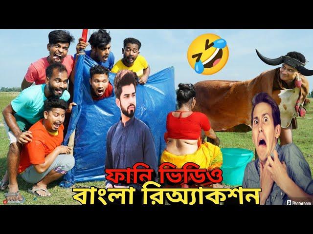 Monkey Special Trending Funny Comedy Video 2024