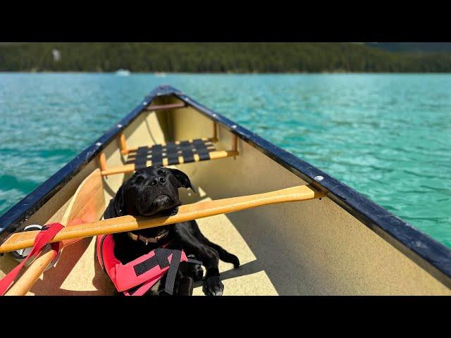 Exploring Jasper National Park: Breathtaking Views & Wildlife Encounters