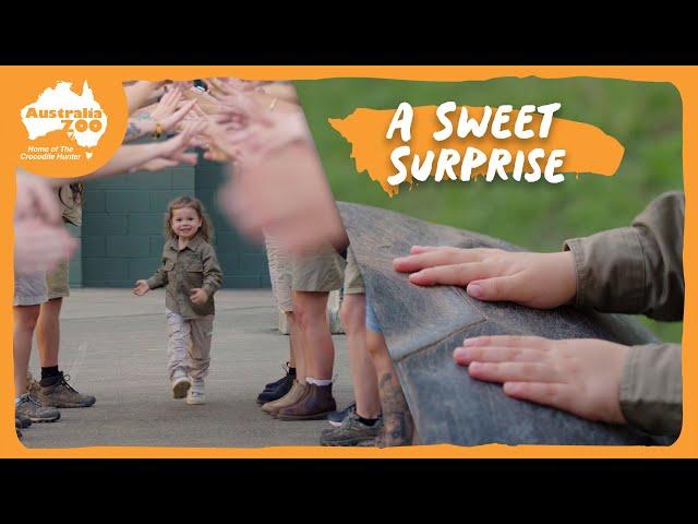 Grace's afternoon at Australia Zoo | Irwin Family Adventures