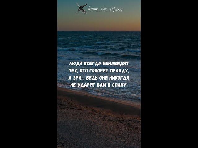 Мудрые слова на каждый день