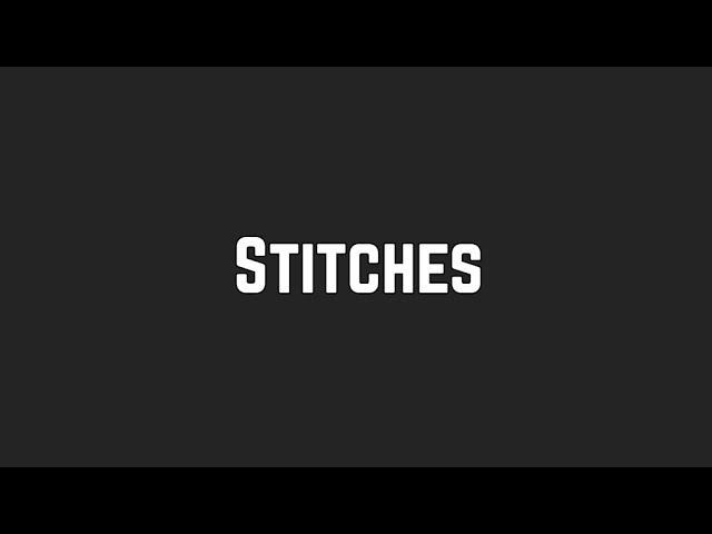 Shawn Mendes - Stitches (Lyrics)