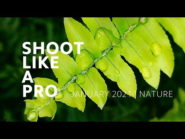 #ShootLikeAPro: Nature