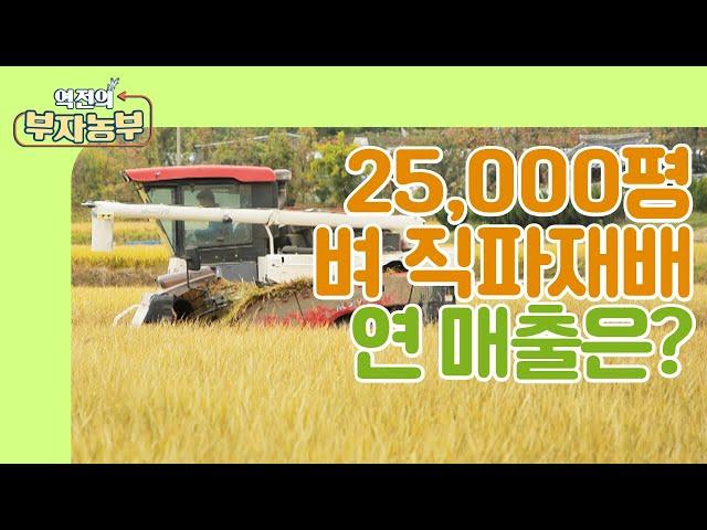 [역전의부자농부 221회] 25,000평 벼농사, 벼 직파재배 연 매출은?