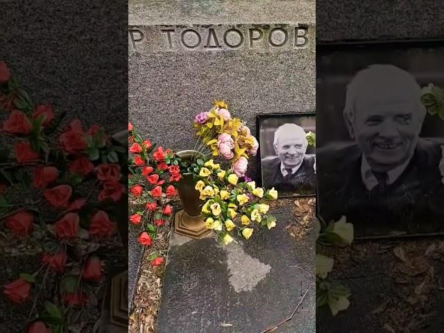 Памятник на могиле режиссёра Петра Тодоровского на Новодевичьем кладбище Москвы.