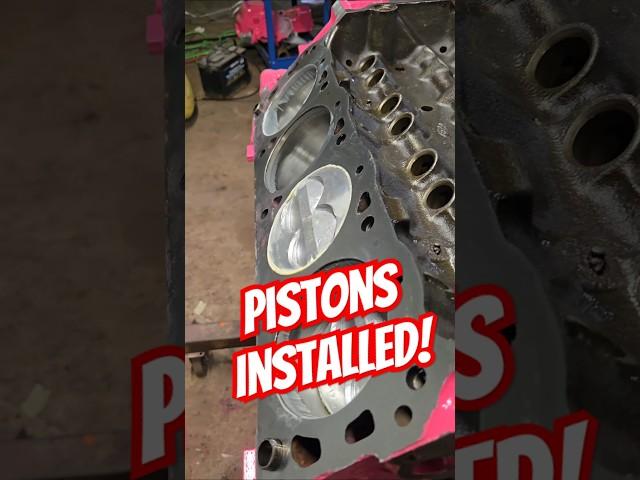 Project Cheap Street Pistons! #ford#302#5litre#v8#ranger#engine#crankshaft#pink#smallblock#sbf