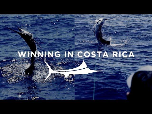 Winning In Costa Rica - Billfish Gear