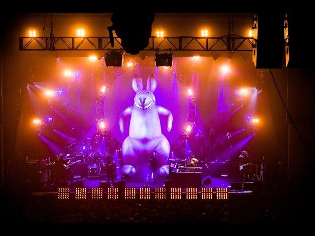 The Australian Pink Floyd Show  Live at The Royal Albert Hall (2007)