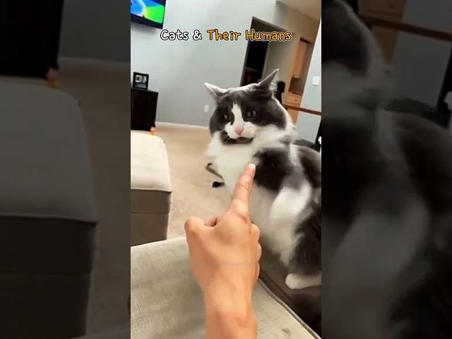 Cats & Their Humans