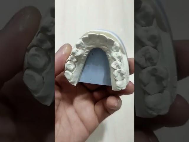 Зубной техник. Для начинающих.
