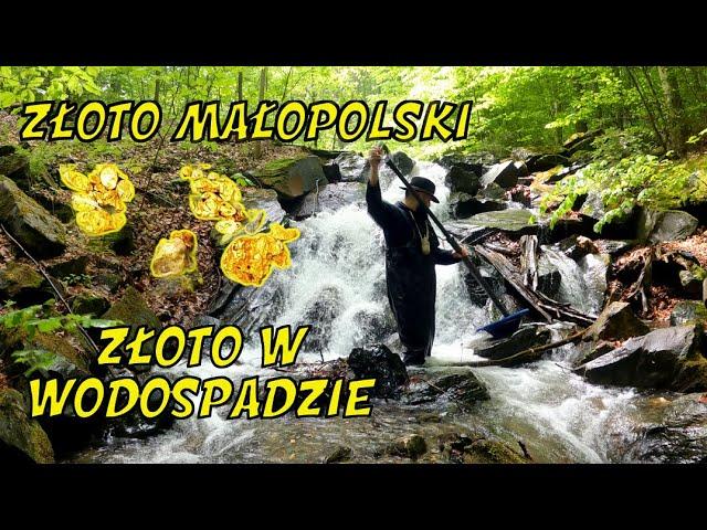 The Gold of Małopolska-Gold in the Waterfall and cattle grazing.How do you easily find gold?