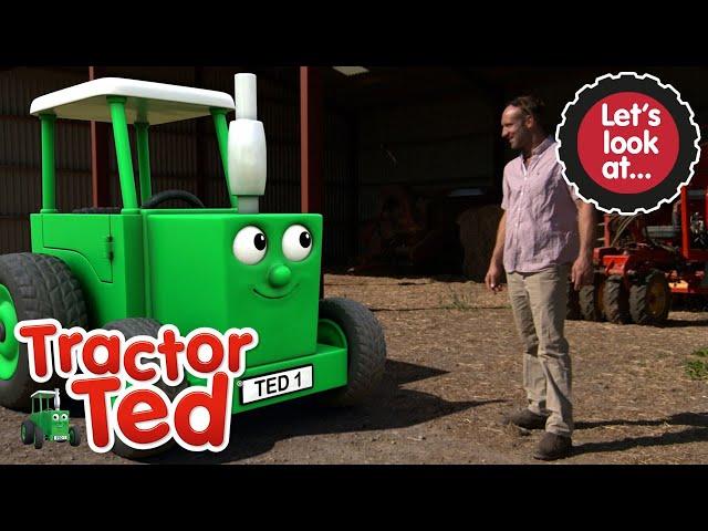 Let's Look at Tractors  | NEW Tractor Ted | Tractor Ted Official Channel