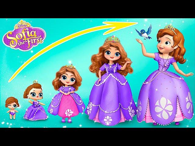 Princess Sofia the First Growing Up! 30 DIYs for LOL OMG