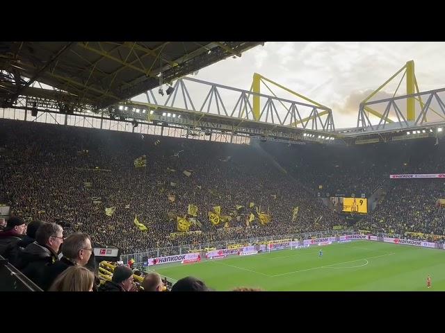 The Yellow Wall's reaction to Haller's goal!!! 