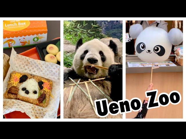 Ueno Zoo Tour 3hrs in 3MIN (Kawaii Panda Food )