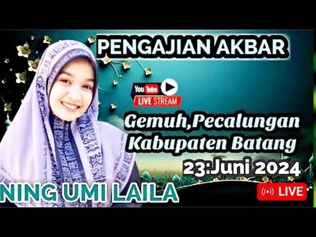  Live Ning Umi Laila || Pengajian Akbar Desa Gemuh Pecalungan Batang