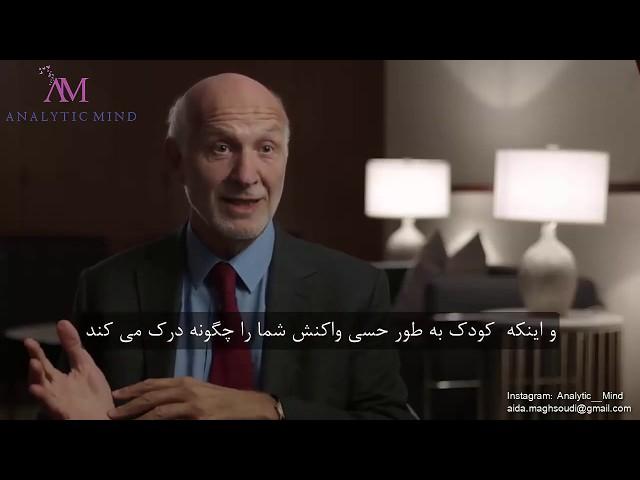 What is mentalizetion? peter fonagy  ذهنیت سازی (ذهنی سازی) ، پیتر فوناگی