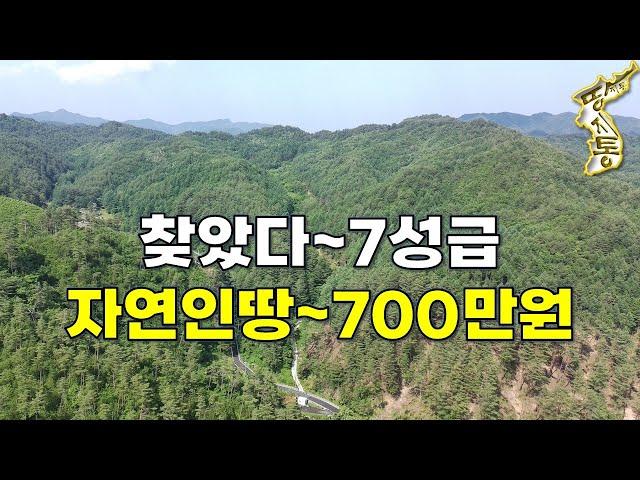 국유림 천만평에 둘러싸여 계곡물 흐르는~7성급 자연인땅 700만원에 나왔습니다.[땅지통]