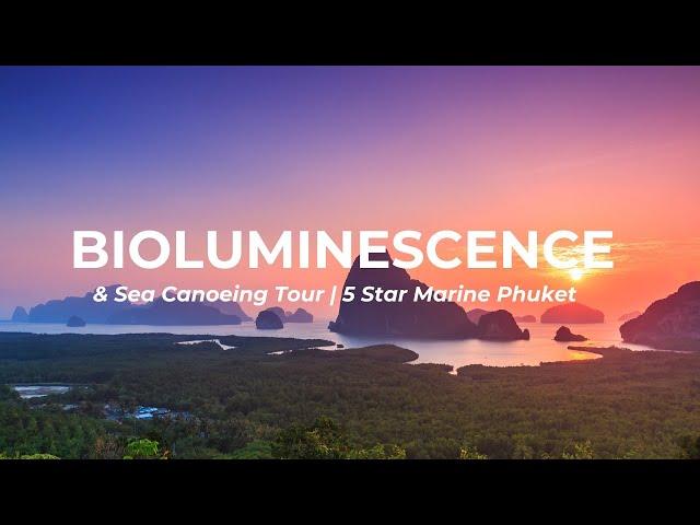 Phang Nga Bay Bioluminescence & Sea Canoeing Tour | 5 Star Marine Phuket