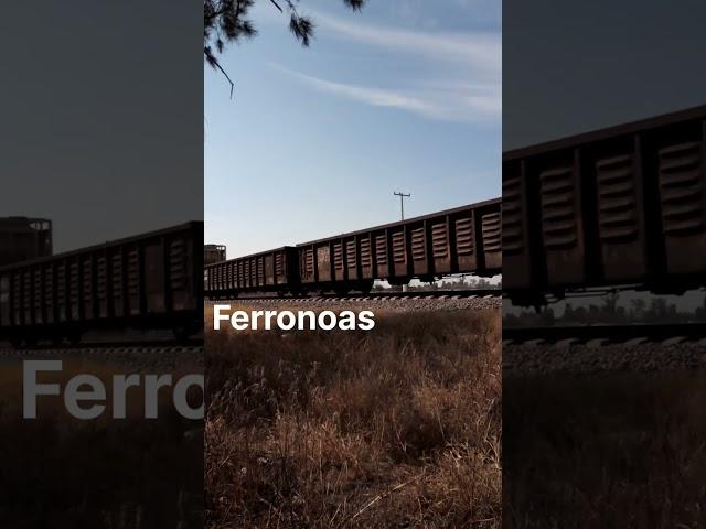 Así líderea un tren la SD70ACe #ferromex #ferronoas #ferromexenleónguanajuato  #train #railway