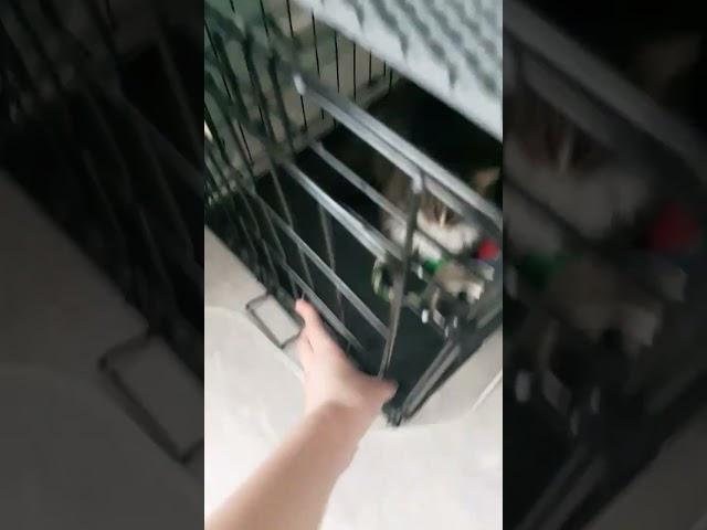 # февраля ####г.