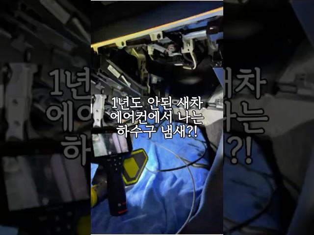 1년도 안된 새차 공조기에서 나는 하수구냄새 제거 ssul #에바크리닝 #자동차에어컨청소 #자동차에어컨냄새 #에바클리닝 #곰팡이냄새제거 #차량에어컨냄새