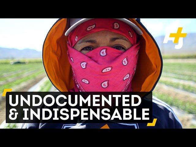 Meet The Undocumented Coachella Farmworkers Feeding America