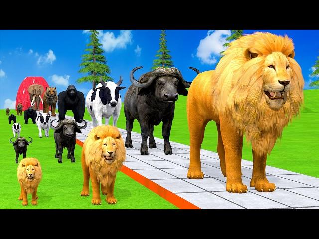 Paint & Animals Duck,Gorilla,Lion,Elephant,Cow,Sheep Fountain Crossing Transformation Animal Cartoon