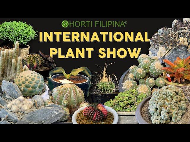 Rare and Beautiful Cacti, Succulents & Euphorbias at Horti Filipina International Plant Show