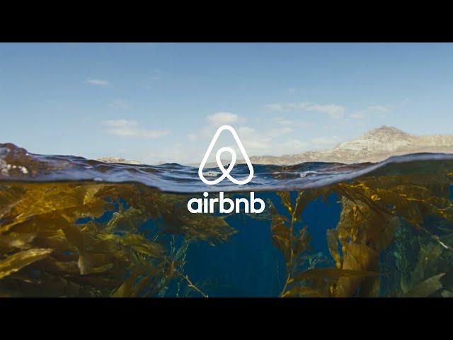 AIR BNB & BLUE PLANET 2 | Discover its depth