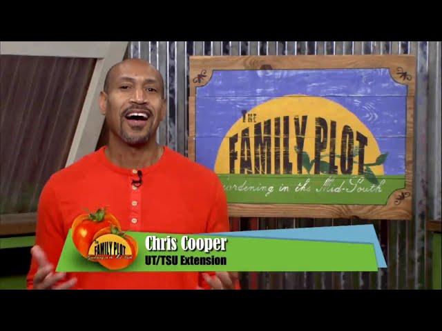 Family Plot: Gardening in the Mid-South | preview