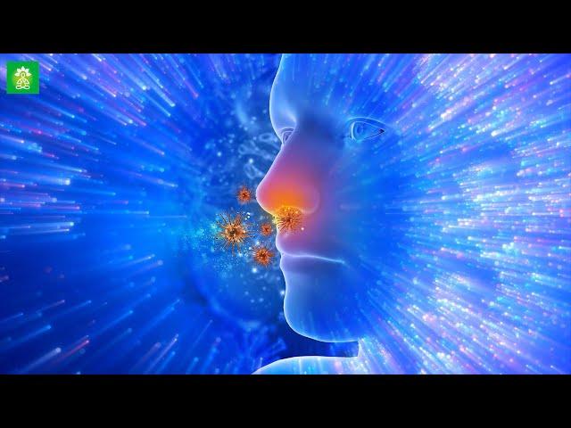 Clear A Stuffy Nose | Treat Chronic Nasal Congestion | Nasal Polyp Relief Frequency | Treat Sinus