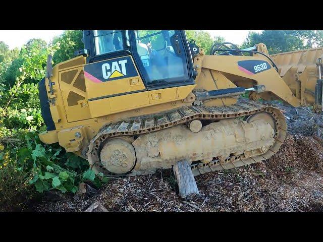 Cleaning up the Woodyard with a Cat 953D and Dropping a Tree