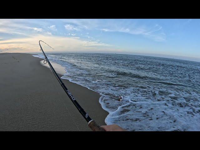 Fishing the NJ Surf in Summer is Full of Surprises!