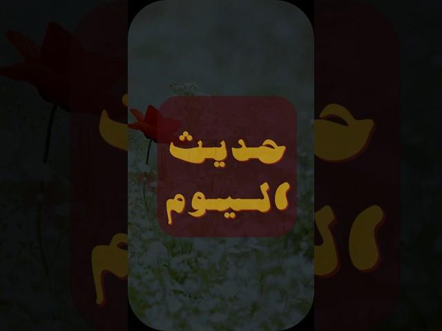 #حديث_اليوم - يوم الخميس 24-11-1446 هـ l حالتي الدعوية