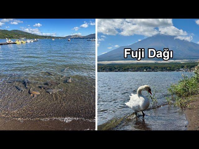 Gece Otobüsüyle Gittiğimiz Japonya'nın İkonik Yeri Fuji Dağı, Yamanaka Gölü ve Gotemba Şehri