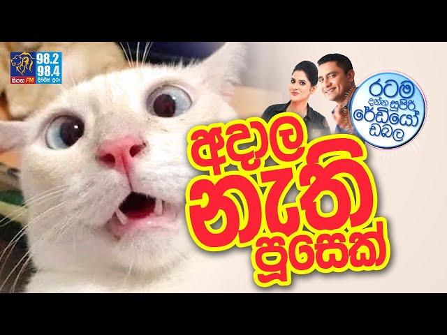 @Siyatha FM MORNING SHOW-2021 10 08 | අදාල නැති පූසෙක්