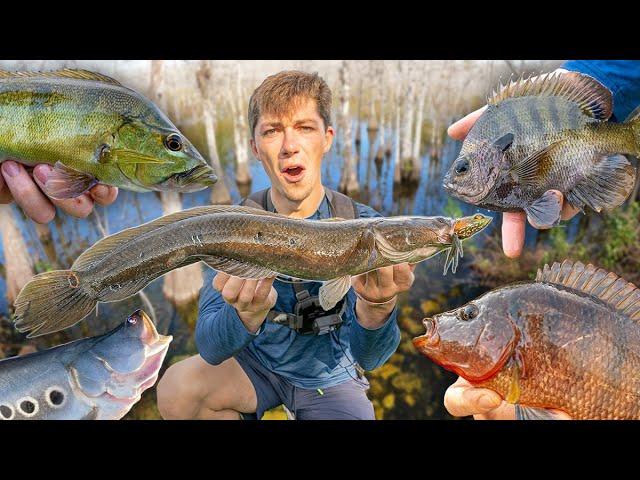 24 HOUR MULTI-SPECIES FISHING CHALLENGE!! (FLORIDA)