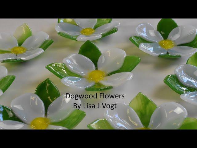 Dogwood Flower by Lisa J Vogt Video