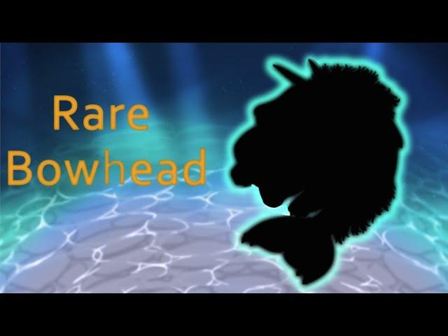 Rare Bowhead - MSM Concept (Fan Art)