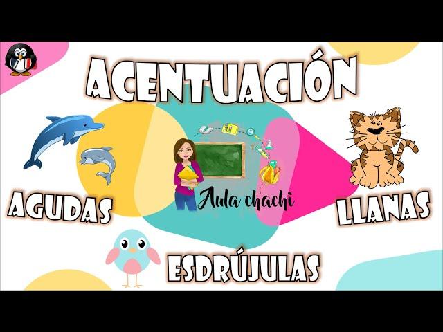 Acentuación - Palabras agudas, llanas y esdrújulas | Aula chachi - Vídeos educativos para niños