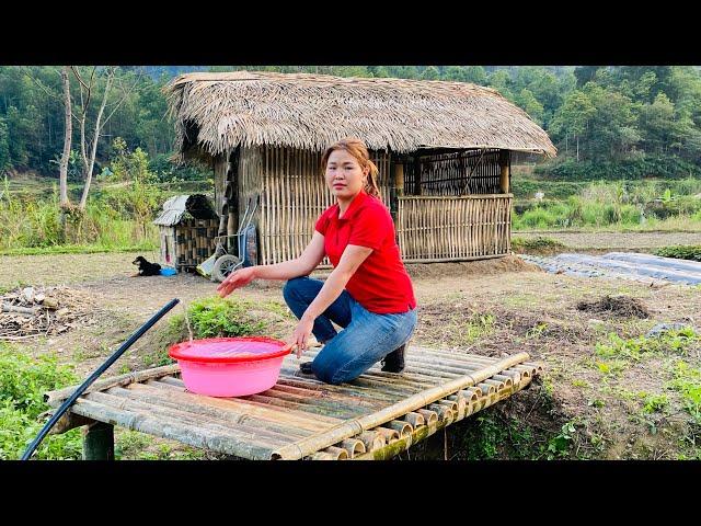 Looking for the meaning of free life - water floor to build a bamboo house in a new place