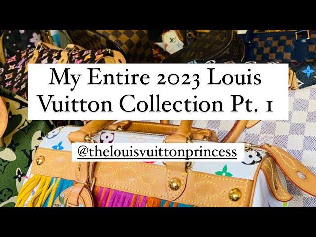 My Entire 2023 Louis Vuitton Collection Pt. I - OVER 100 Items