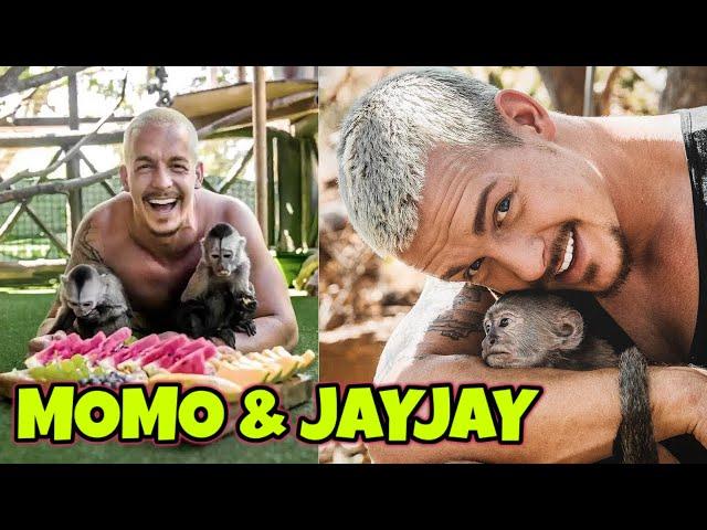 Momo & JayJay Monkey Love | Dean Schneider