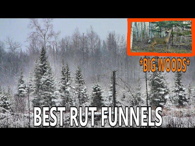 Top 3 BIG WOODS Rut Funnels