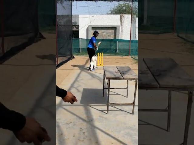 Cut shot = Table  Wet Tennis balls | my cricket buddy | #shorts #cricket
