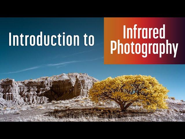 Introduction to Infrared Photography (2022)