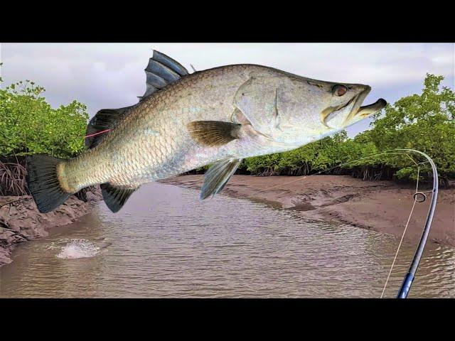 Catching Barramundi During a Tough Bite... A Simple Strategy