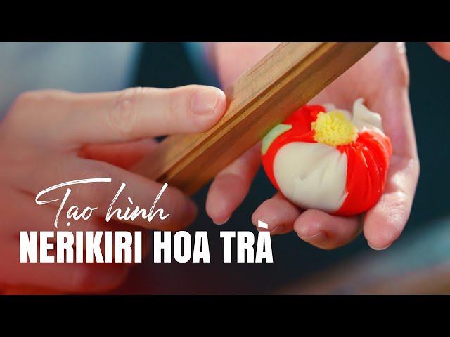 Nerita Hoa Trà Đẹp Tuyệt Hảo | Hướng Nghiệp Á Âu